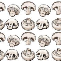 Seamless pattern, sketch of a champignon mushroom, color engraving. Hand drawing vector