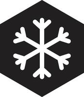 Cold hexagon icon . Snowflake icon in hexagon . Frost icon . illustration vector