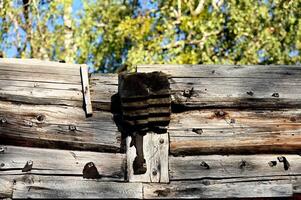 a wooden fence with a bear on it photo