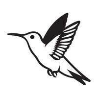 Elegant Hummingbird in Flight vector
