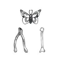 Halloween. Night butterfly, bird bones for fortune telling, all objects are hand-drawn with ink in . Halloween illustration. For printing on stickers, invitations for Halloween vector