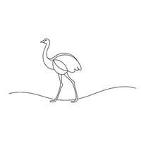 Ostrich bird continuous line art flat illustration on white background. vector