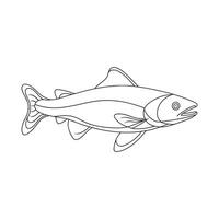 Lake trout fish continuous line art flat illustration on white background. vector