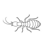 Termite continuous line art flat illustration on white background. vector