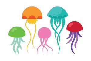 Verious color of jellyfish isolated flat illustration on white background. vector