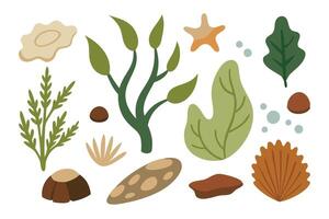 Underwater element set showcasing diverse plants and animals thriving in their aquatic environment flat illustration on white background. vector