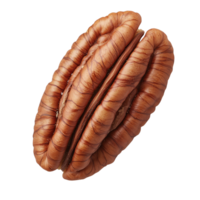 Pecan nut isolated on transparent background, showcasing its rich texture and unique shape. png