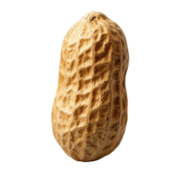 Peanut isolated on transparent background, natural texture, healthy snack choice, ideal for culinary uses. png