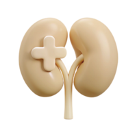 Kidney Health Understanding the Importance of Proper Function png