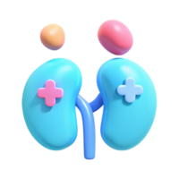 3D Render of Kidneys with Plus Buttons png