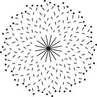 Rangoli Design Mandala Vecto-r Art Silhouette With White Background vector