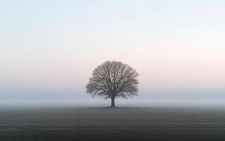 Lone tree silhouetted against a pastel sky in a misty field at dawn, creating a serene and ethereal landscape scene photo