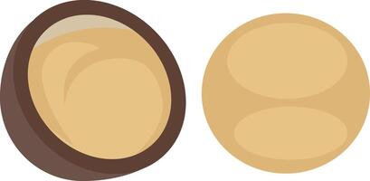 simple illustration of macadamia seed and nut vector