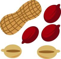 simple illustration of peanut set with shell and contents vector