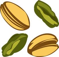 simple illustration of pistachio shell set and contents vector