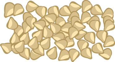 simple illustration of sesame seeds vector