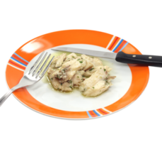 Luccio in salsa Delicious cooked chicken on a vibrant orange plate png