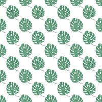 Seamless Monstera Leaf Pattern, Tropical Print, Endless Pattern vector