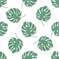 Tropical print with monstera leaves, endless background pattern vector