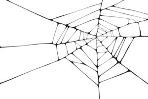 Abstract illustration of stylized geometric segments forming a complex net structure resembling spiderweb or broken glass surface. Abstract black silhouette isolated on white background vector