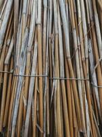 Tightly bundled dried reeds lies flat, texture and warm yellow shade colors. Natural material, crafting and decoration concept. Perfect for background design photo