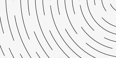 gray background with black curved lines. design for banner, poster vector