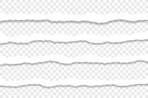 Ripped paper strips with uneven jagged edges vector