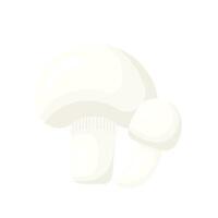 Champignons mushrooms flat. White mushroom - champignons isolated without background. illustration vector
