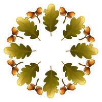 Round wreath of oak leaves and acorns. Autumn wreath of round shape with empty space for text. Frame of autumn leaves on white background. vector