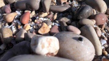 A pile of rocks and pebbles on the beach video