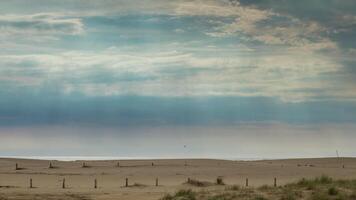 A person is standing on a beach with a kite video