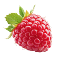 Fresh raspberry with green leaves, isolated on transparent background. png