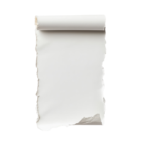 Torn white paper with a curled top edge, isolated on transparent background. png