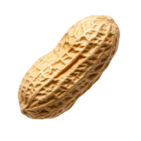 Peanut with a textured shell isolated on transparent background. png