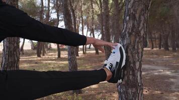 Man Does Leg Stretching On The Trunk Of A Pine Forest video