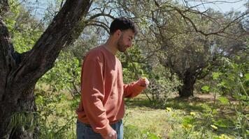 Young Man Picks Off A Yellow Flower In The Countryside And Smells It video