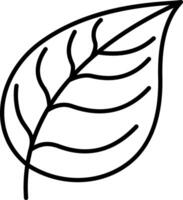 A leaf outline on a white background vector