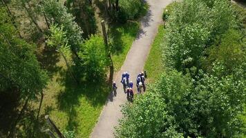 Drone view of the workflow. Clip. Workers discuss a construction project in the forest in clear weather. video