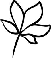 A black and white drawing of a leaf vector