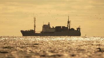 Abstract sea ocean sunset nature background with seagulls and fishing boat trawler catches fish while sailing on sea at horizon in distance sail to catch school of fish on calm sea surface in summer. video