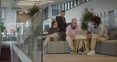 A diverse group of colleagues exchange business experiences, engage in collaborative problem-solving, and work together in a relaxed, modern office interior, demonstrating the value of teamwork and video
