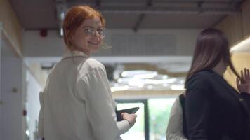 uma diverso grupo do colegas colaborativamente e eficientemente atacar vários o negócio tarefas dentro uma moderno escritório, exemplificando trabalho em equipe, produtividade, e uma dinâmico corporativo ambiente. video