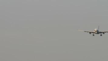 Airplane with lights on and landing gear down, approaching for landing, view from below. Travel concept. Spotting video
