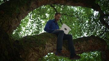 Embrace Working Remotely While Surrounded by Nature A Truly Unique Workspace in a Tree video