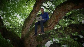 A person diligently working on a laptop while enjoying the serene atmosphere in a tree video