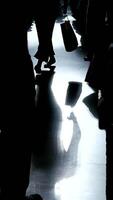 Silhouetted Figures Positioned Elegantly on a Smooth Reflective Surface While Maintaining Contrast video