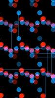 The Dynamic Color Patterns of Bright Red and Deep Blue Lights Set Against a Black Background video