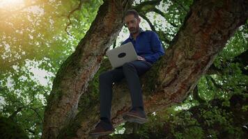 Remote Work in Nature A Man Sitting on a Tree Working on His Laptop in a Beautiful Setting video