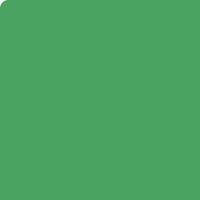 A green square with a white border vector