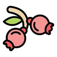 Two lingonberries hanging from branch with leaf icon vector